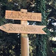 IMG_4641 (800x600).jpg
