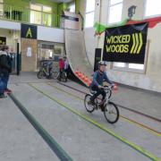 IMG_2224 (1024x768).jpg