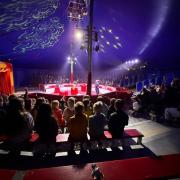 zirkus03.jpg